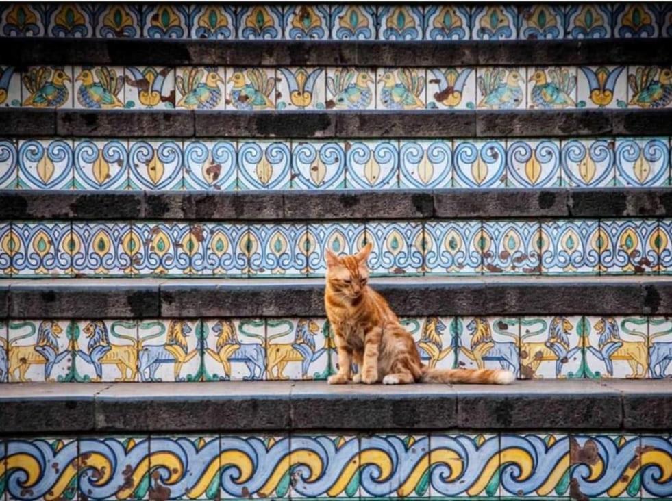 Basilico Lejlighed Caltagirone Eksteriør billede